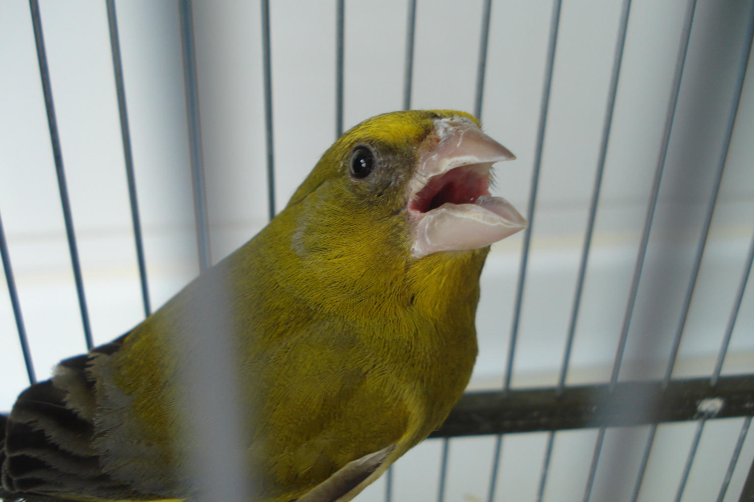 DSC04861.JPG