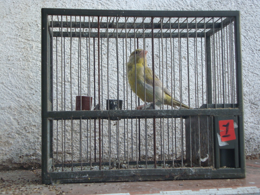 DSC05145.JPG