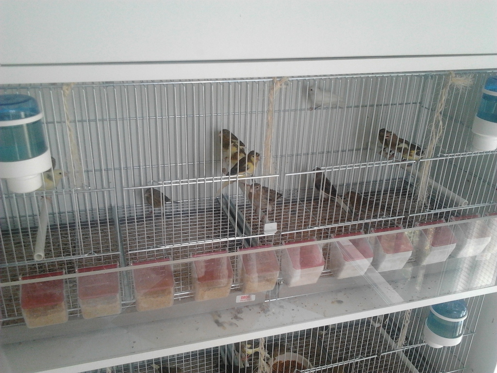 2012-05-31 16.53.15.jpg