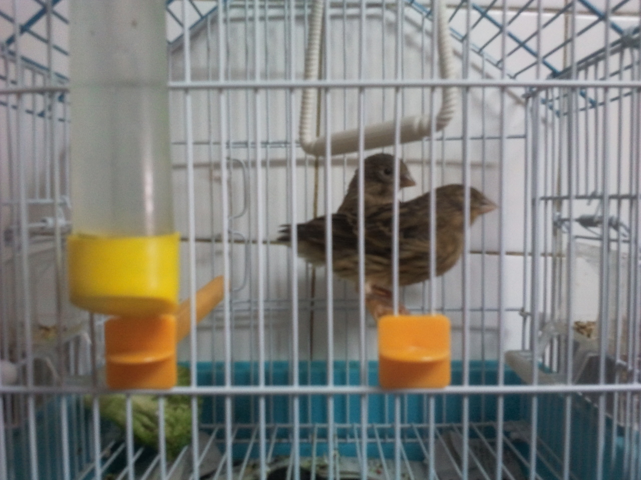 2012-06-03 18.35.48.jpg