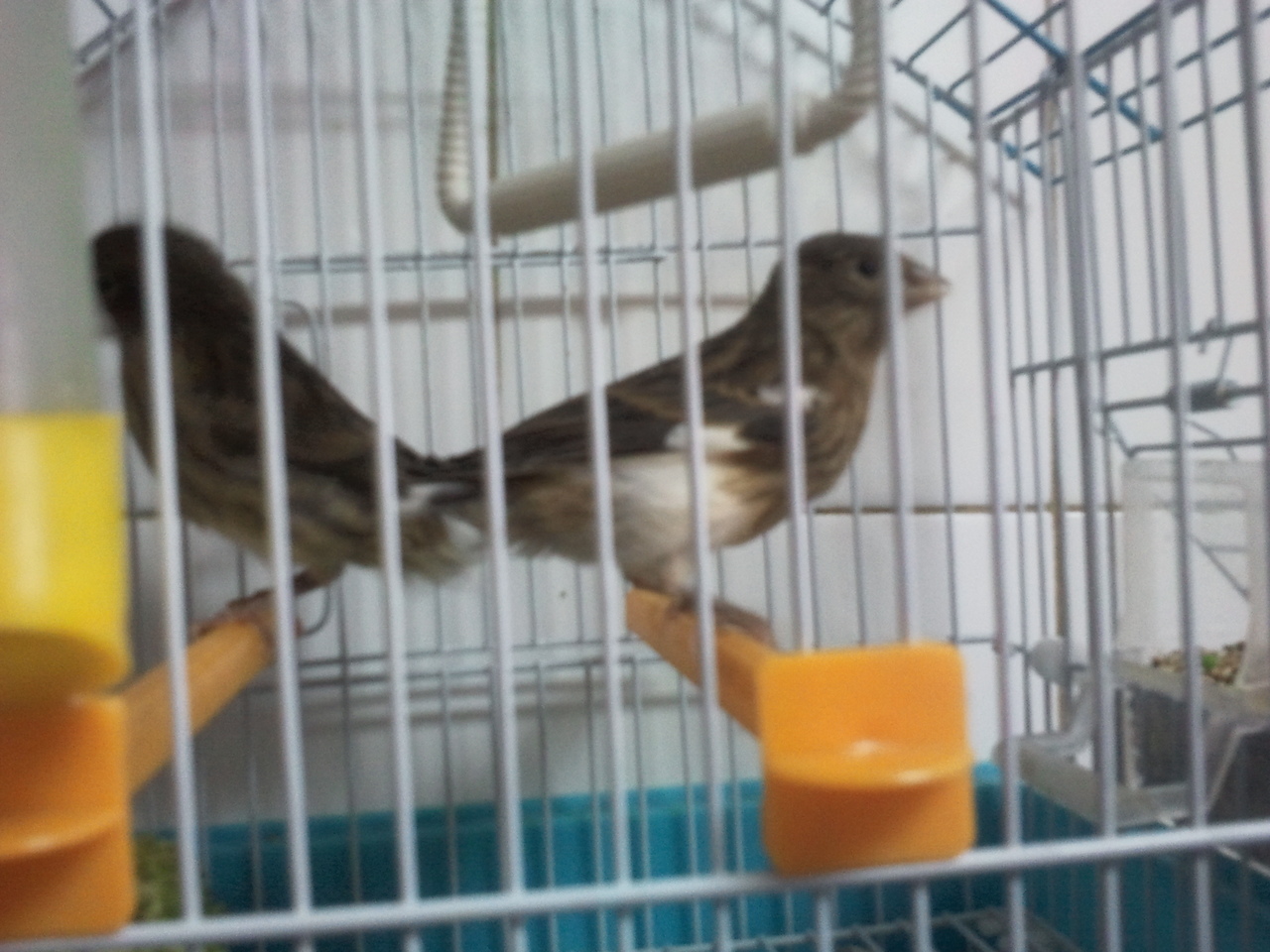 2012-06-03 18.37.20.jpg