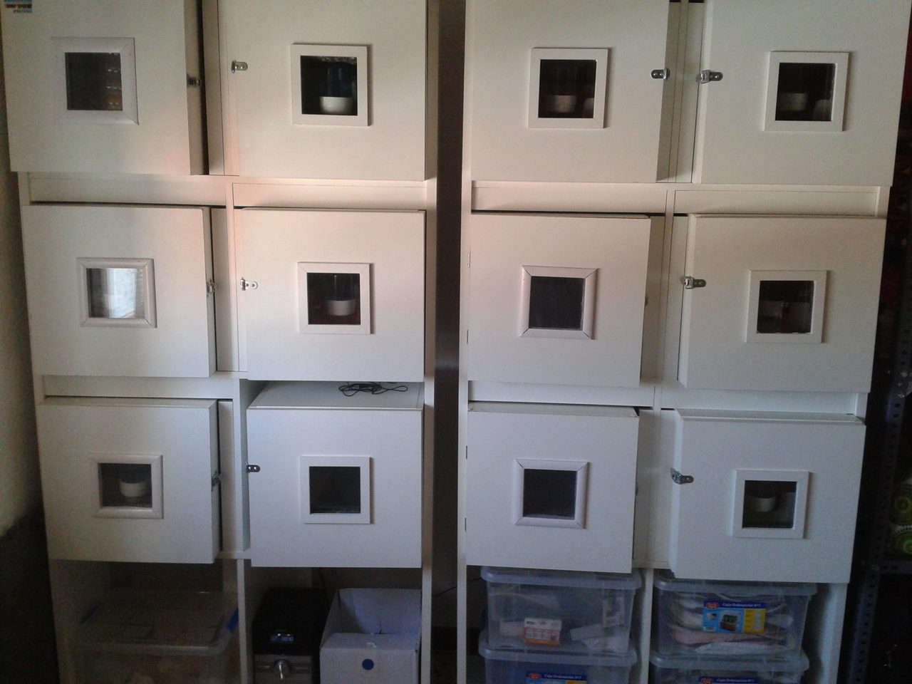 2012-06-05 16.35.57.jpg