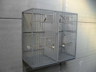 SDC11070.jpg