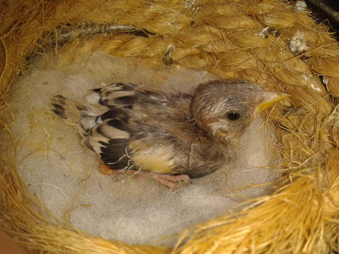 2012-06-05 14.03.05.jpg