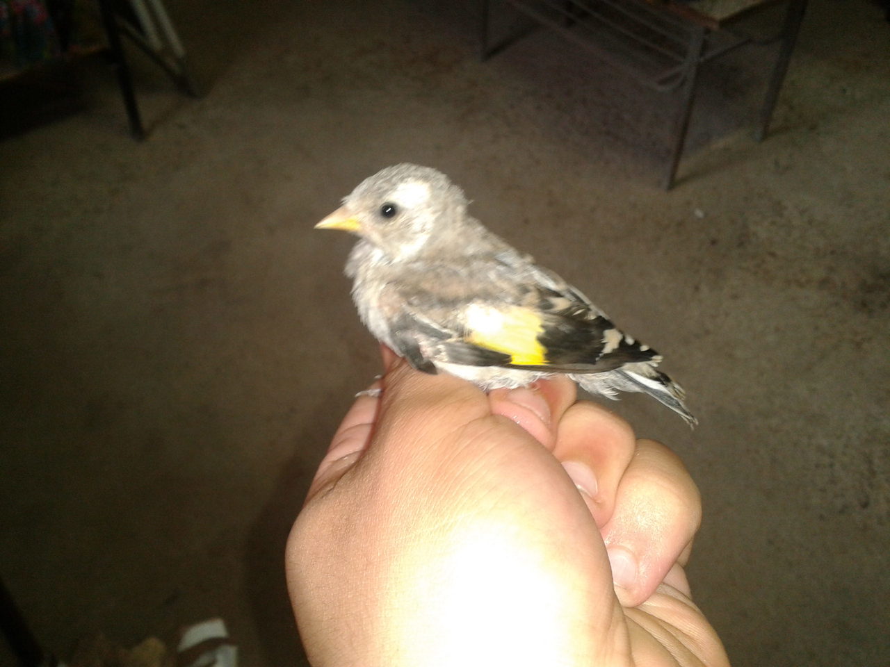 2012-06-13 17.28.59.jpg