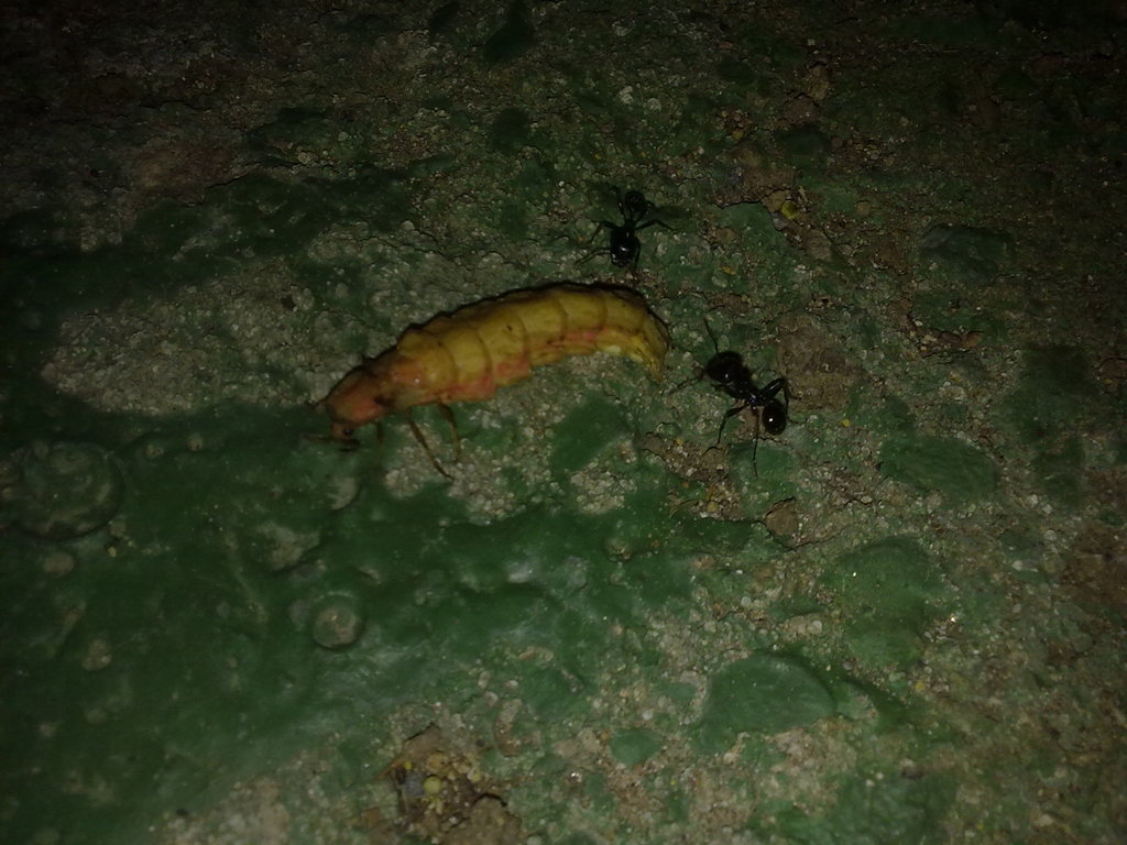 13062012129.jpg