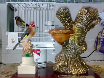 17062012148.jpg