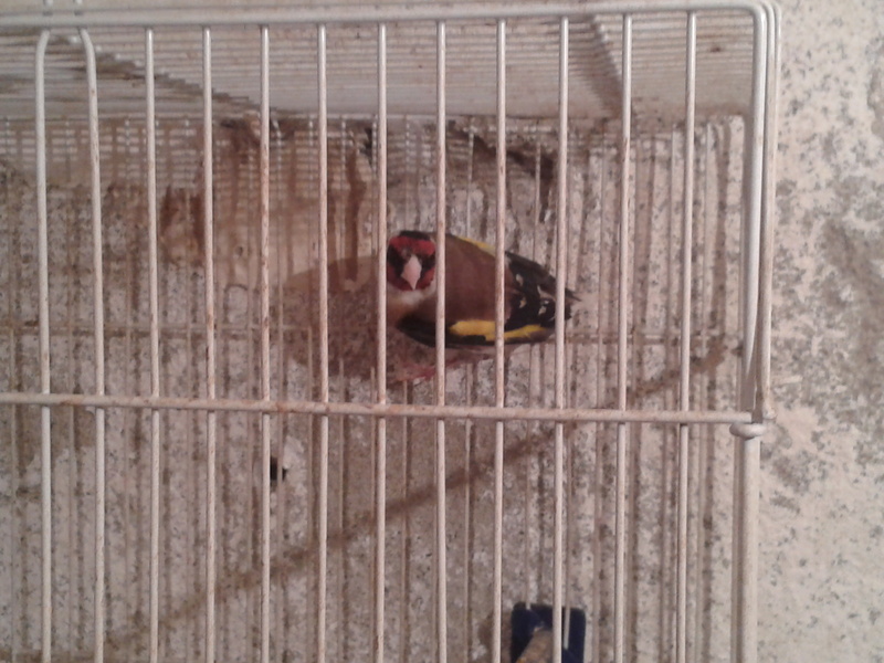 2012-06-20 20.52.32.jpg