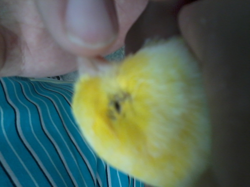 2012-06-22 12.22.19.jpg