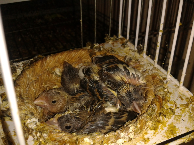 2012-06-26 12.30.40.jpg