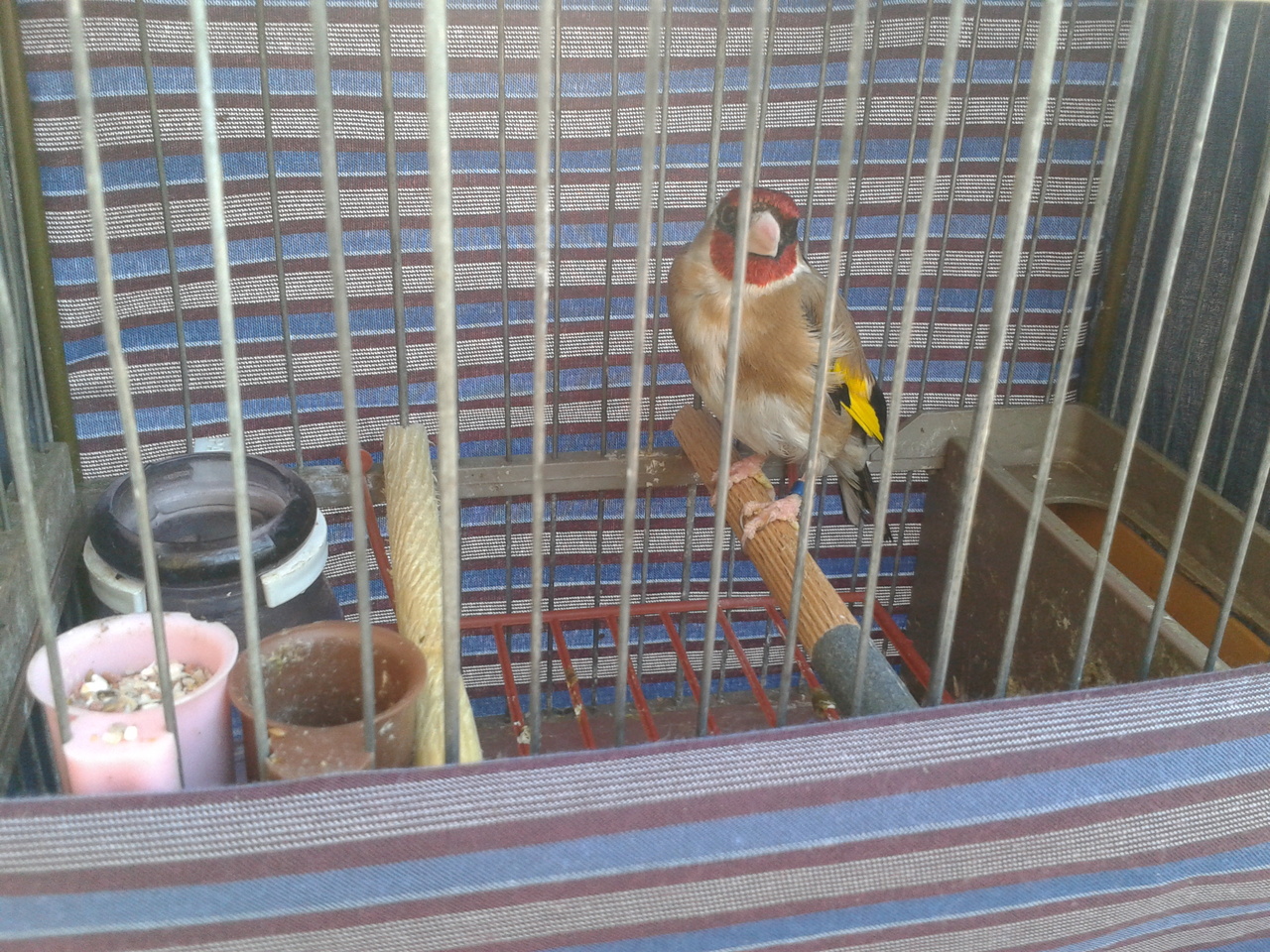 2012-06-26 19.34.58.jpg