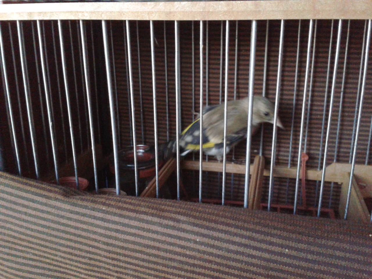 2012-06-26 20.48.06.jpg