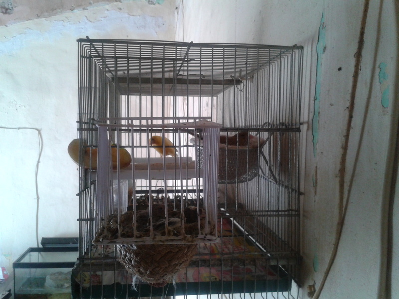 2012-06-27 12.14.31.jpg
