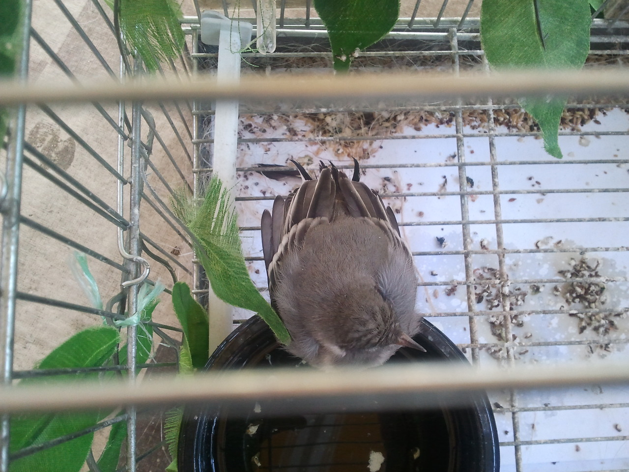 2012-06-30 09.22.37.jpg