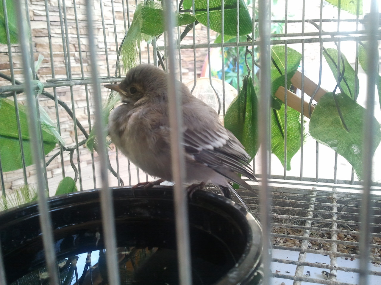 2012-06-30 09.23.01.jpg