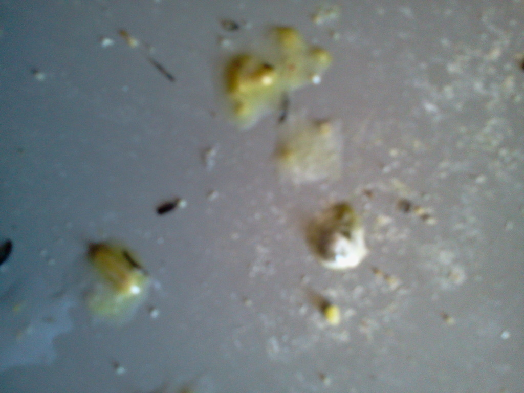 2012-07-04 13.27.08.jpg