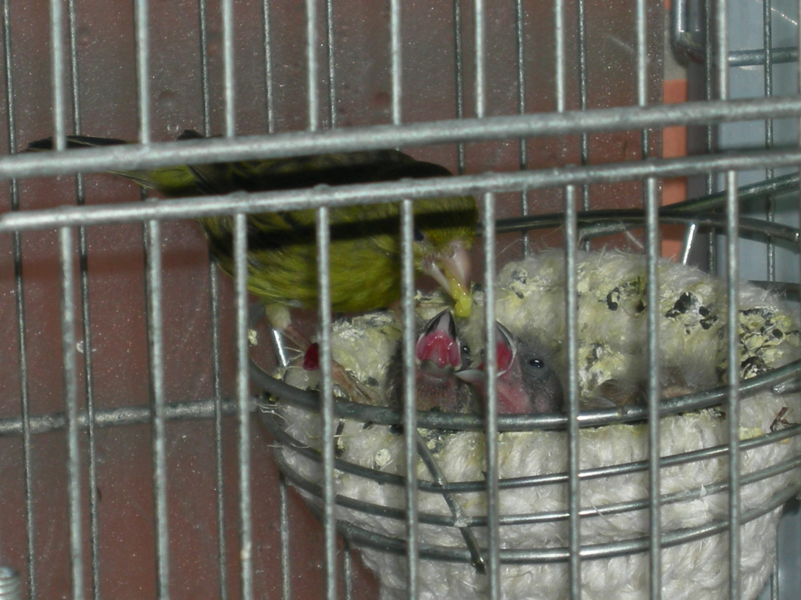 2012 18.jpg