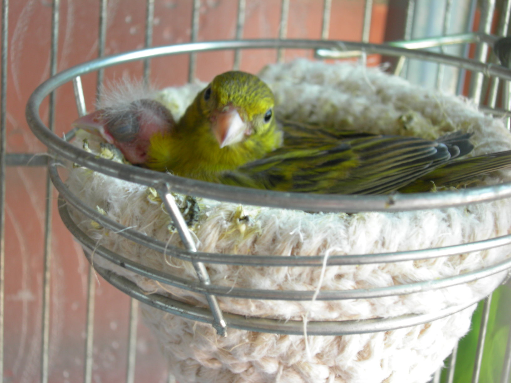 2012 17.jpg