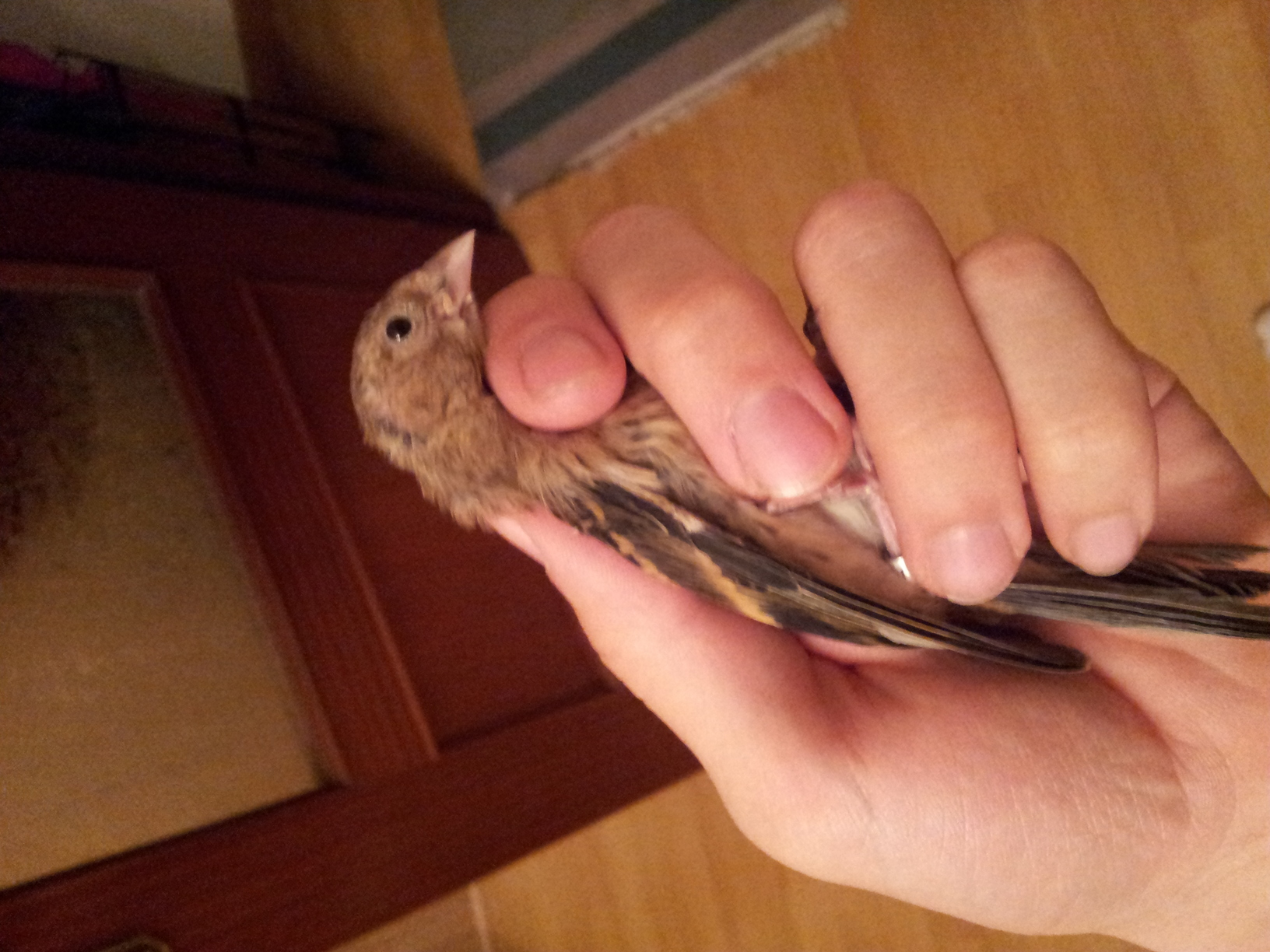 20120708_222435.jpg