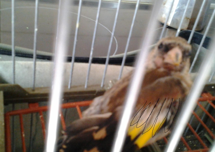 Fotografía de página completa_page1_image1.jpg