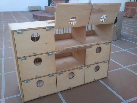 Transportin trasera.