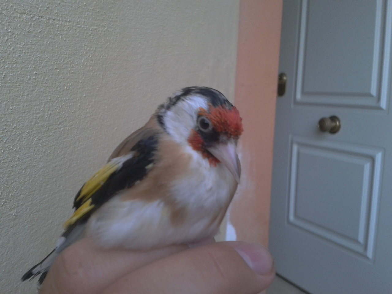 2012-07-13 20.58.51.jpg