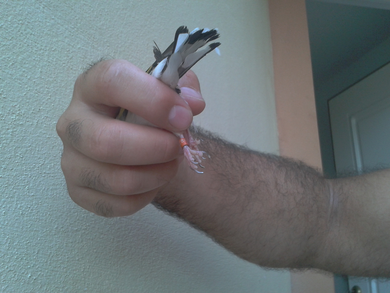 2012-07-13 20.59.22.jpg