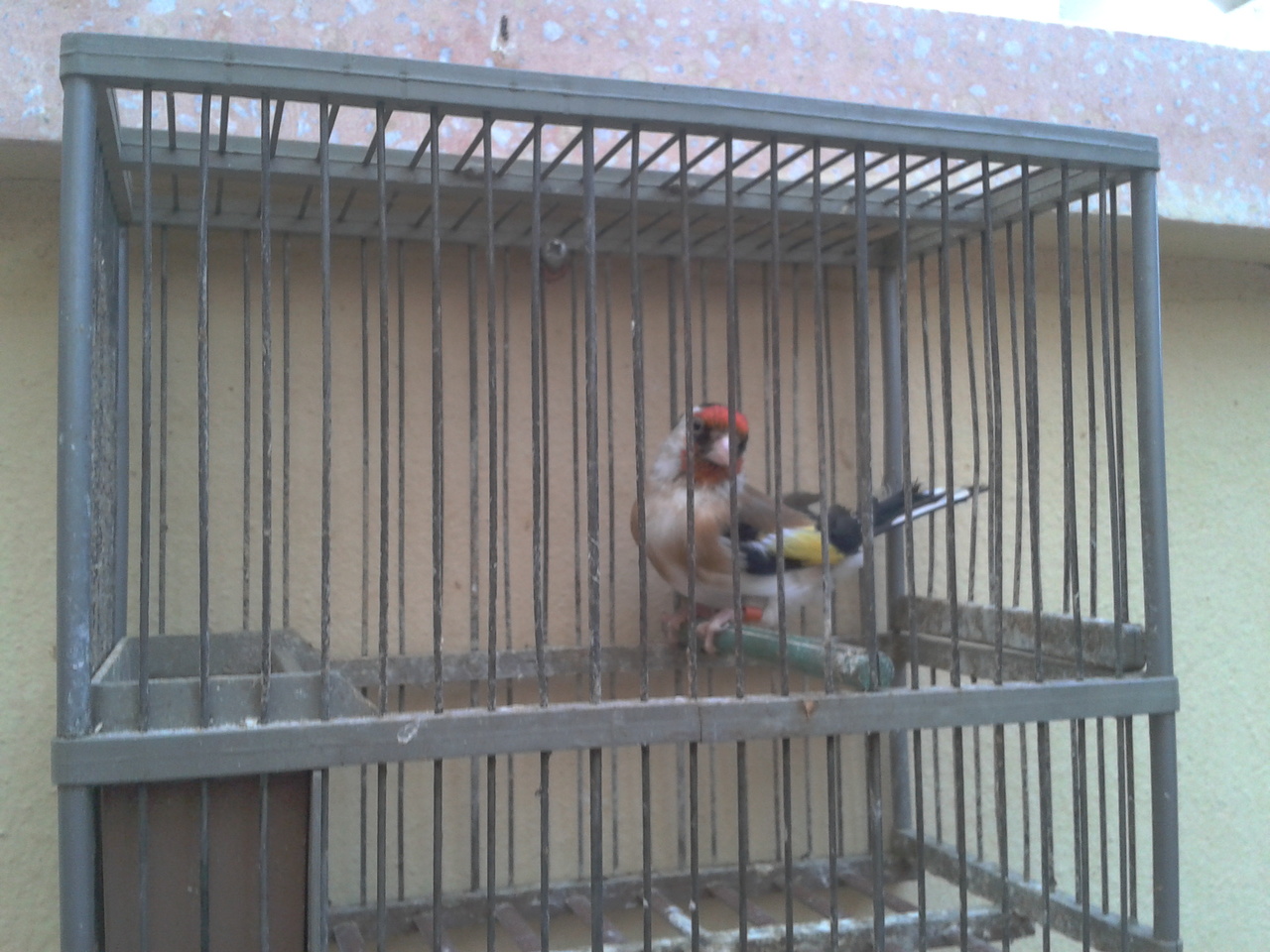 2012-07-13 21.02.42.jpg