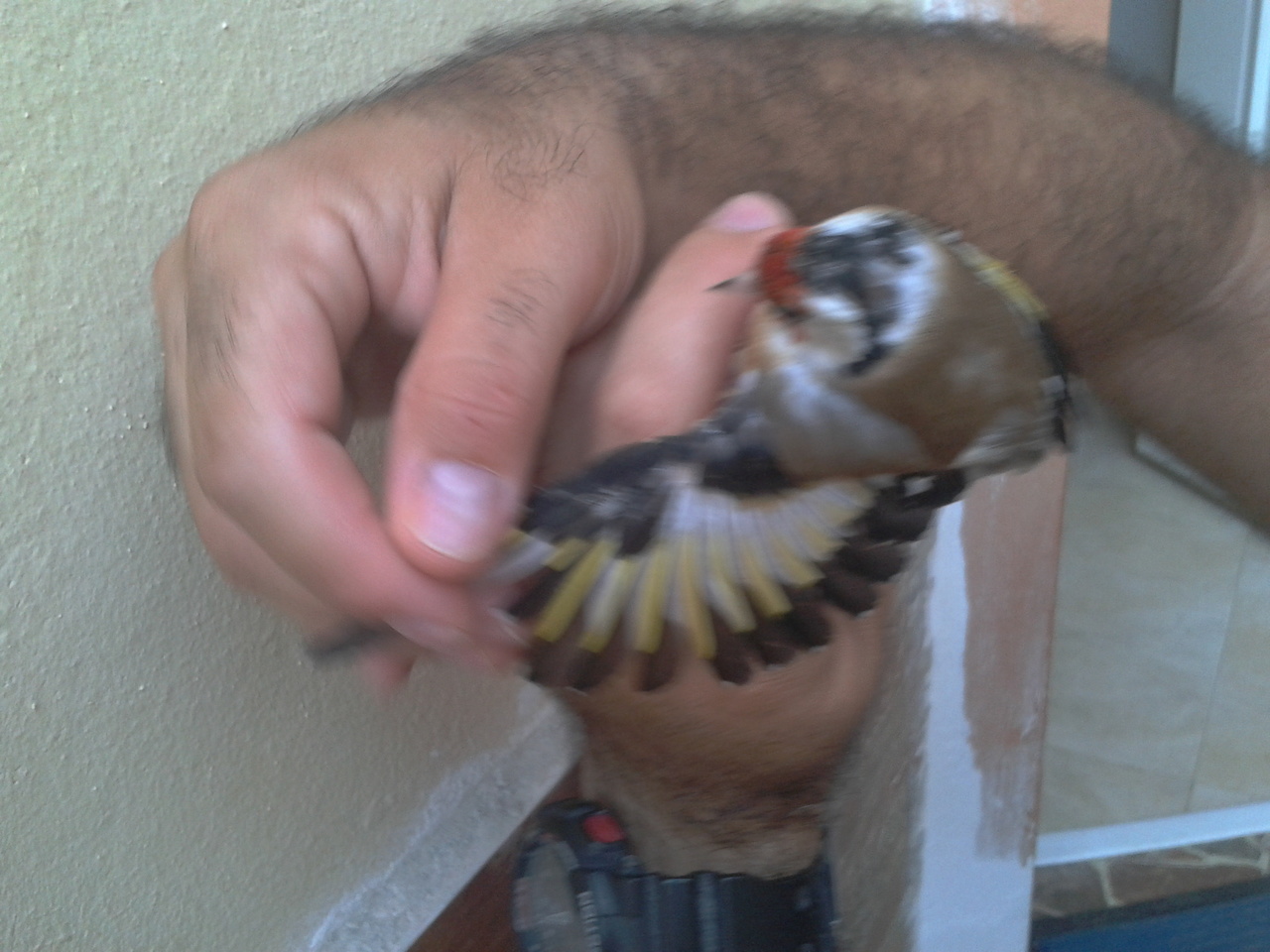 2012-07-13 20.59.46.jpg