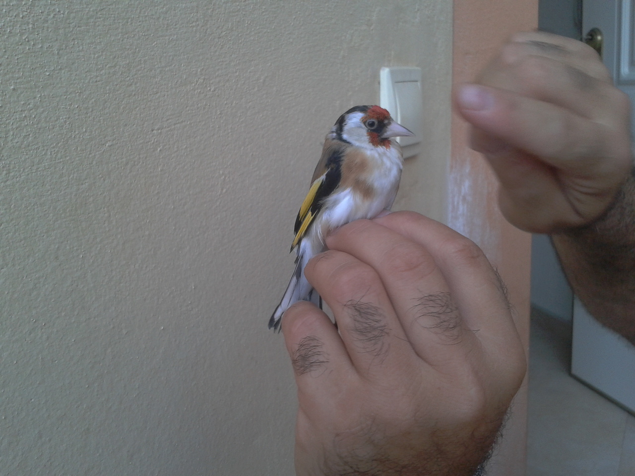 2012-07-13 21.00.08.jpg