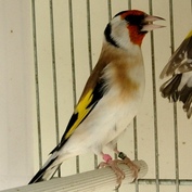 DSCN0667.JPG