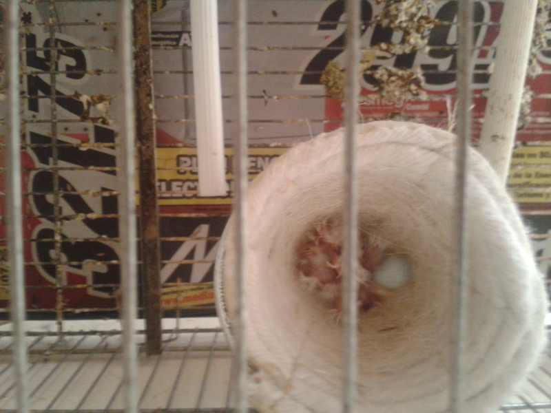 2012-07-16 11.03.46.jpg