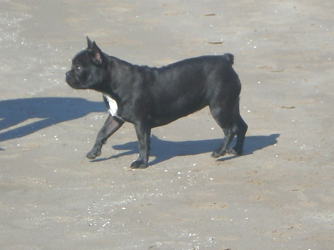 En la playa.