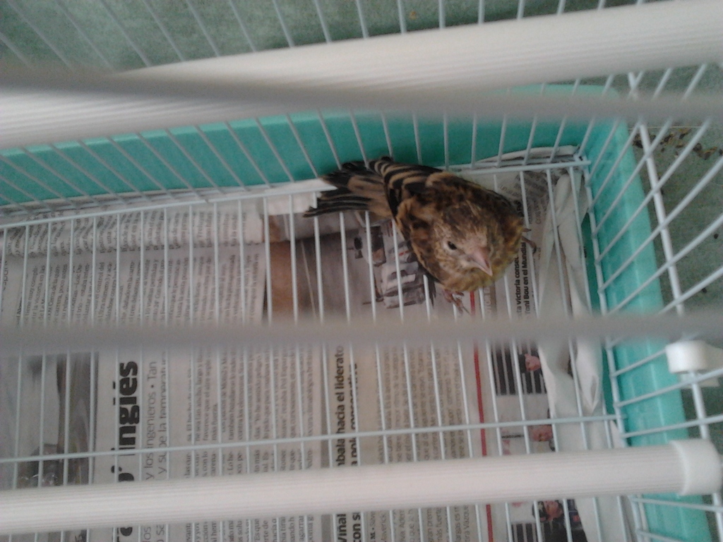 2012-07-23 11.21.39.jpg