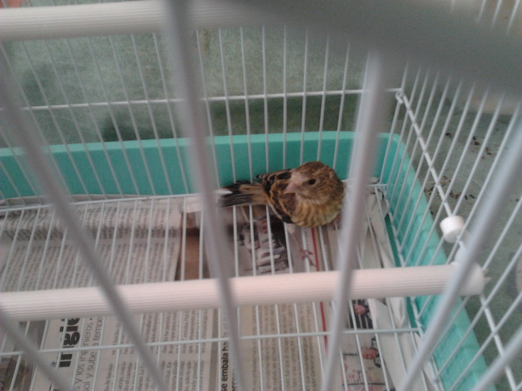 2012-07-23 11.21.50.jpg