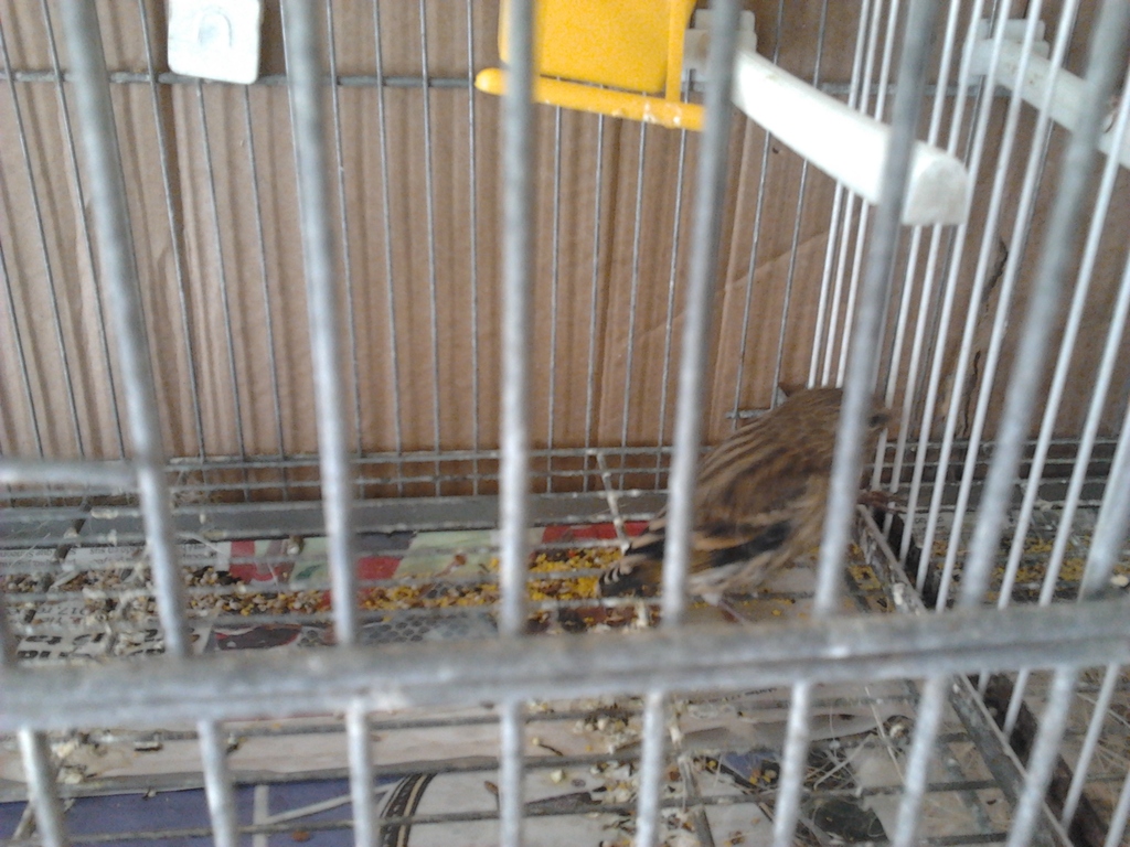 2012-07-23 11.07.05.jpg