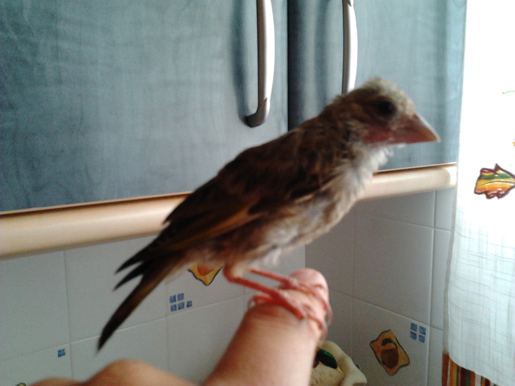 2012-07-24 13.32.28.jpg