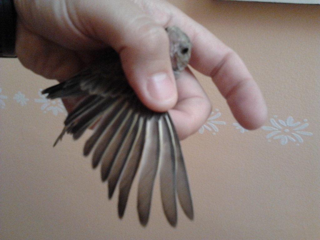 2012-07-24 16.13.32.jpg