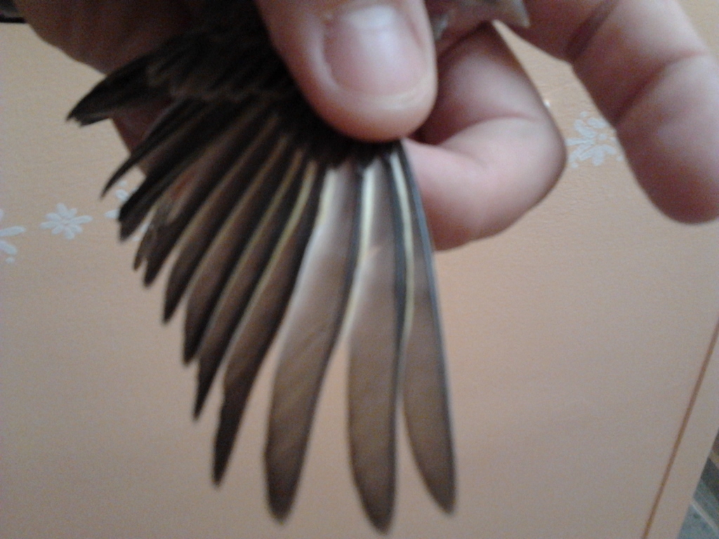 2012-07-24 16.13.38.jpg