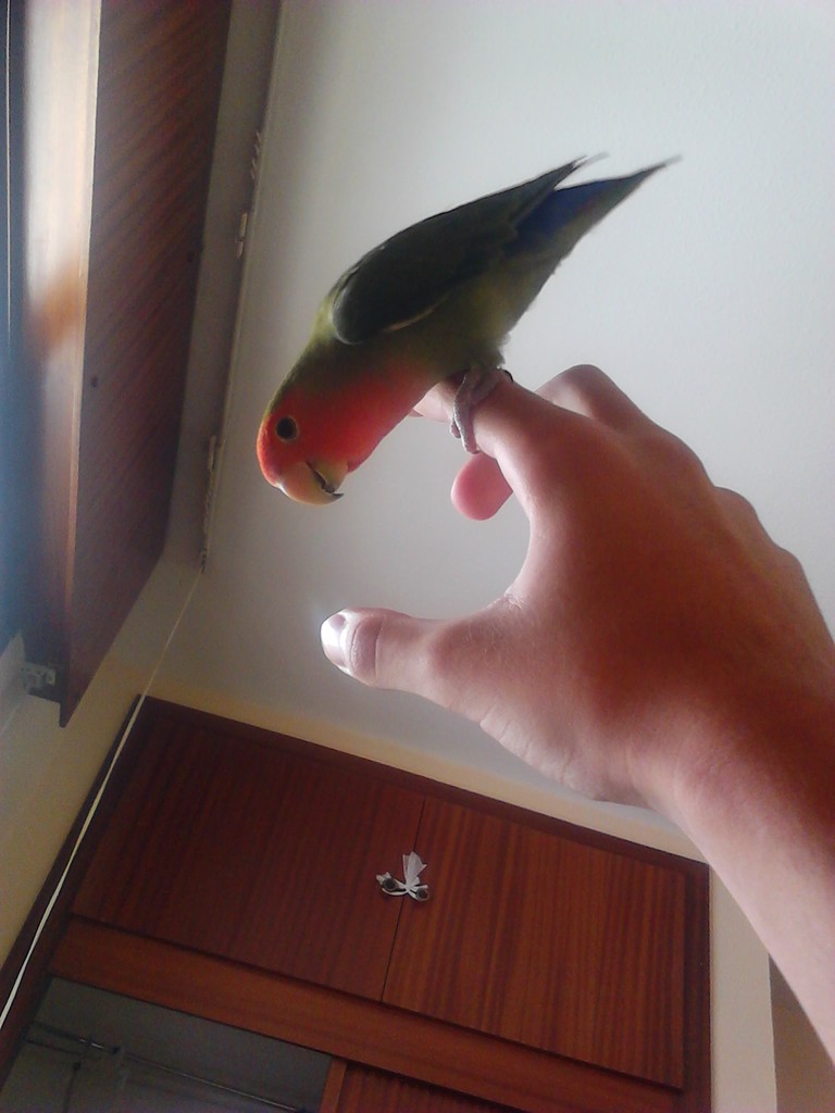 IMG_20120702_152959.jpg