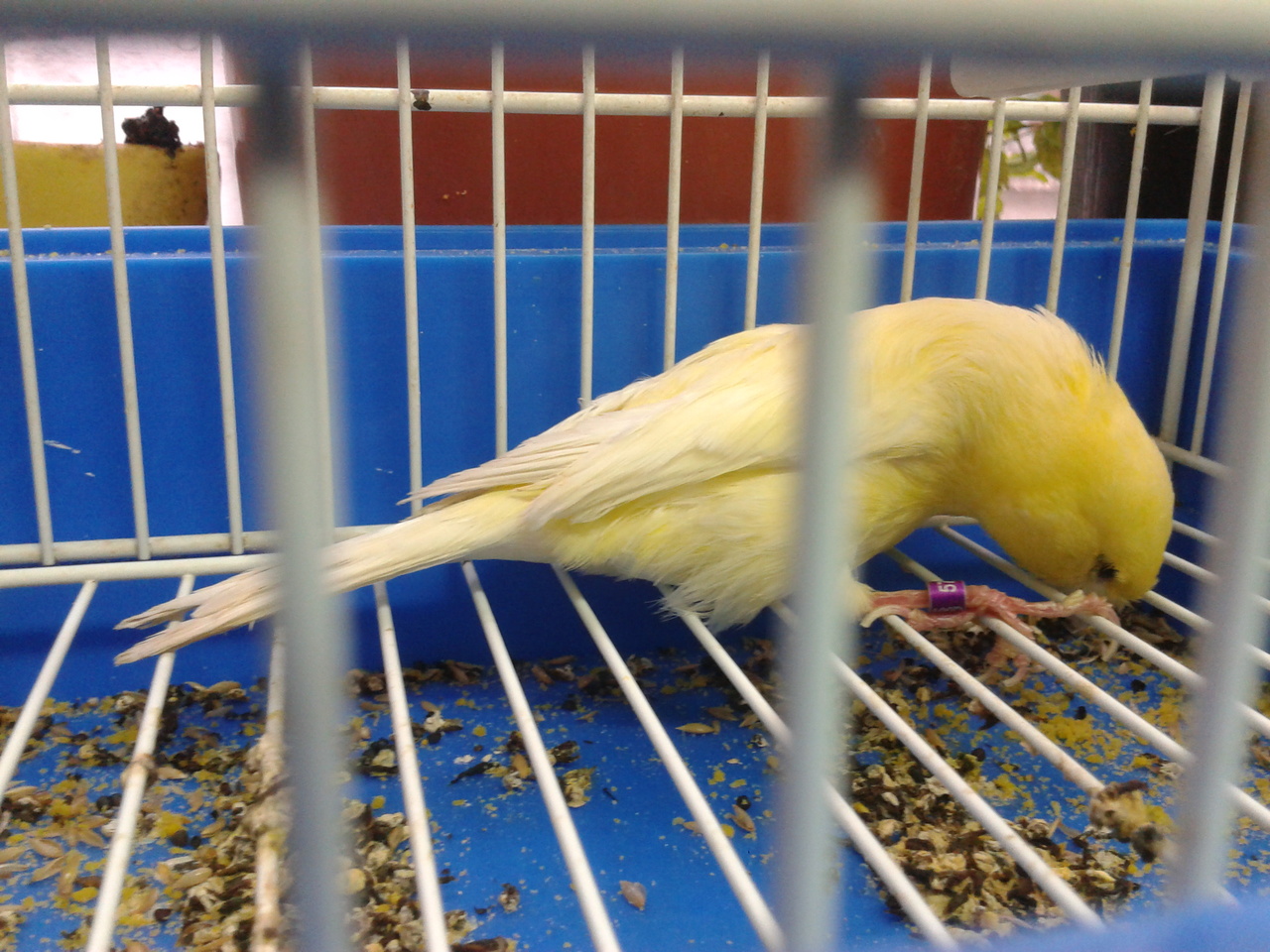 2012-07-22 21.07.29.jpg