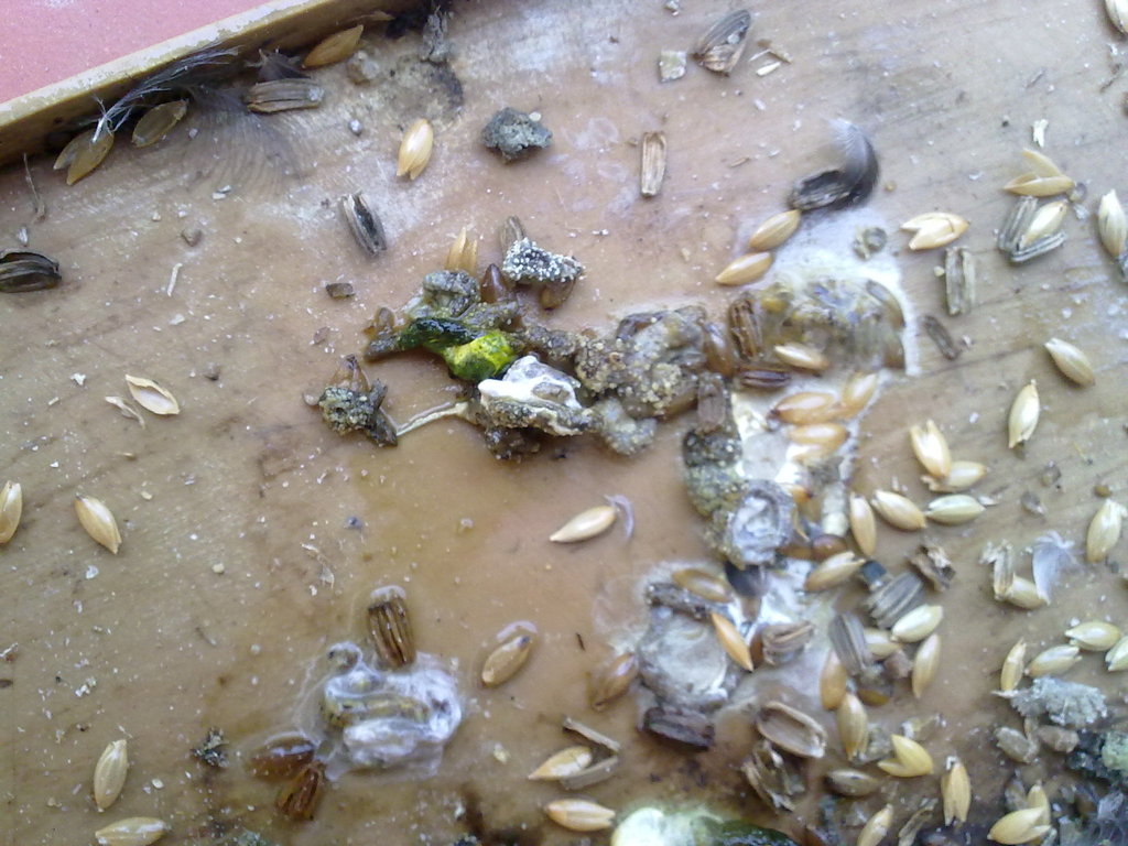 26072012138.jpg