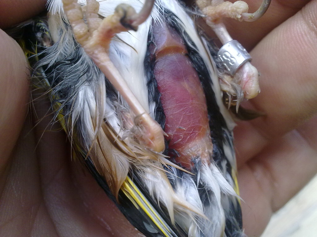 26072012140.jpg