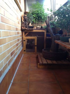 IMG-20120727-WA001.jpg