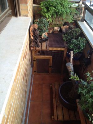 IMG-20120727-WA002.jpg
