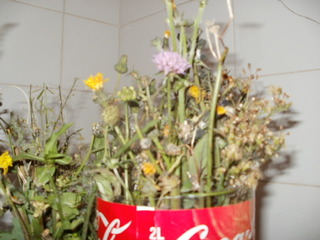 PC130063.JPG
