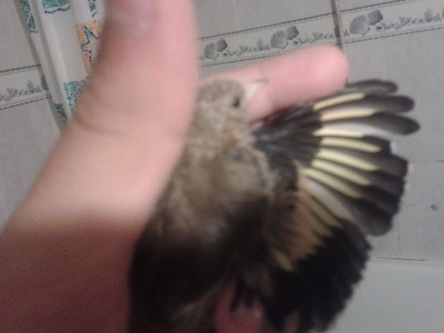 2012-07-30 12.38.38.jpg