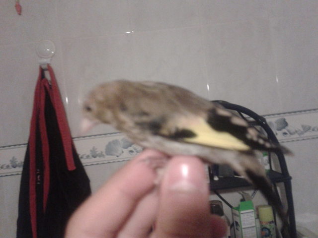 2012-07-30 12.36.08.jpg