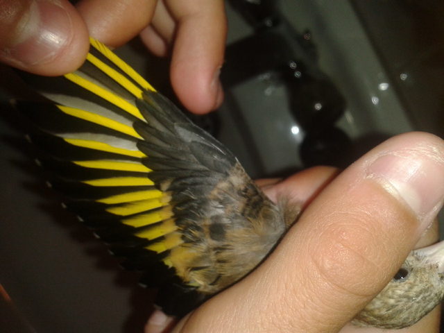 2012-07-31 13.02.20.jpg