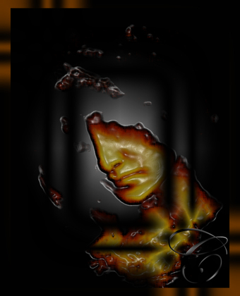 8744653-md copyfd.jpg
